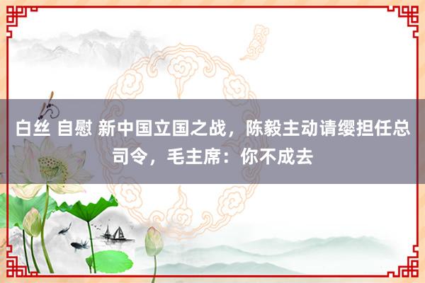 白丝 自慰 新中国立国之战，陈毅主动请缨担任总司令，毛主席：你不成去