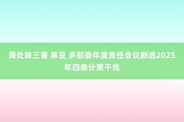 周处除三害 麻豆 多部委年度责任会议剧透2025年四条计策干线