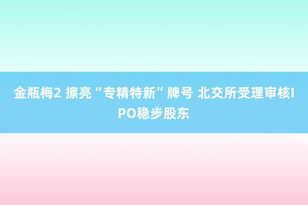 金瓶梅2 擦亮“专精特新”牌号 北交所受理审核IPO稳步股东
