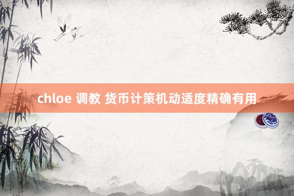 chloe 调教 货币计策机动适度精确有用
