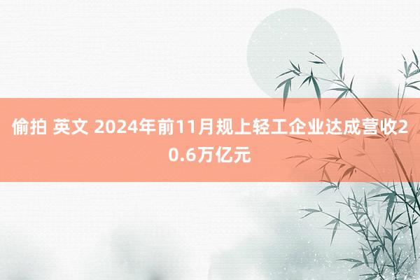 偷拍 英文 2024年前11月规上轻工企业达成营收20.6万亿元