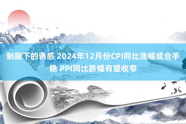 制服下的诱惑 2024年12月份CPI同比涨幅或合手稳 PPI同比跌幅有望收窄