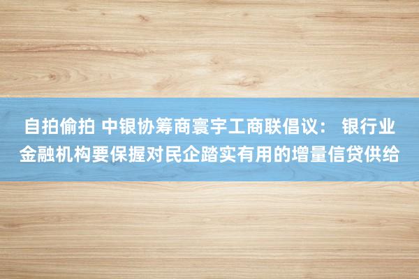 自拍偷拍 中银协筹商寰宇工商联倡议： 银行业金融机构要保握对民企踏实有用的增量信贷供给