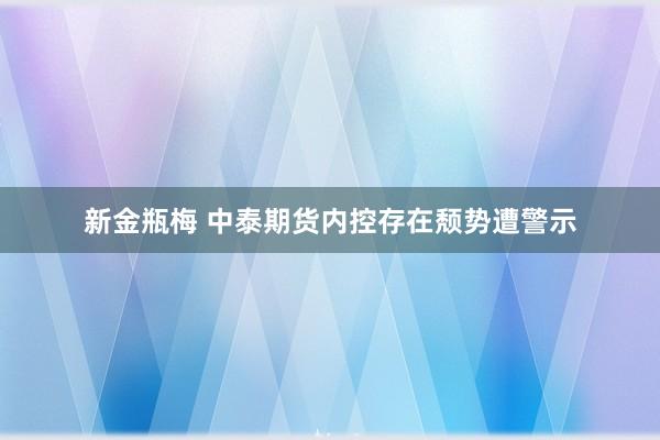 新金瓶梅 中泰期货内控存在颓势遭警示