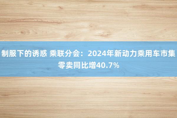 制服下的诱惑 乘联分会：2024年新动力乘用车市集零卖同比增40.7%
