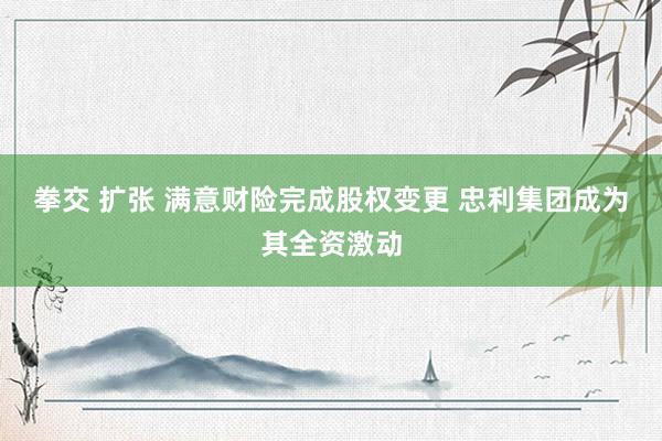 拳交 扩张 满意财险完成股权变更 忠利集团成为其全资激动