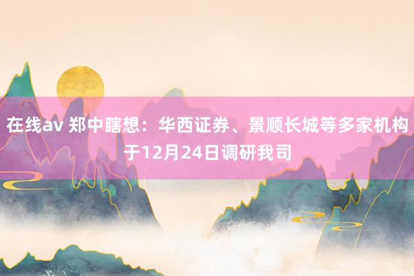 在线av 郑中瞎想：华西证券、景顺长城等多家机构于12月24日调研我司