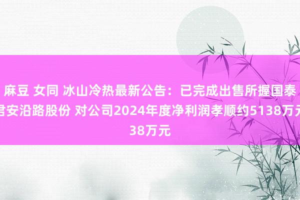 麻豆 女同 冰山冷热最新公告：已完成出售所握国泰君安沿路股份 对公司2024年度净利润孝顺约5138万元