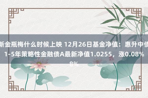 新金瓶梅什么时候上映 12月26日基金净值：惠升中债1-5年策略性金融债A最新净值1.0255，涨0.08%