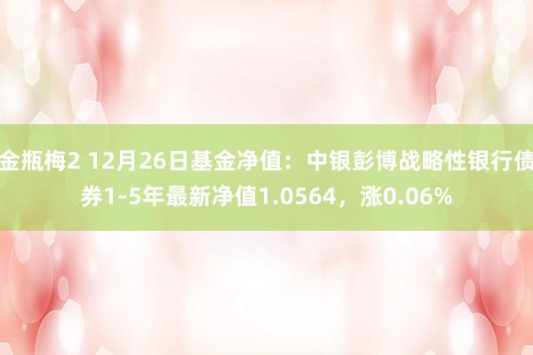 金瓶梅2 12月26日基金净值：中银彭博战略性银行债券1-5年最新净值1.0564，涨0.06%