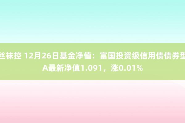 丝袜控 12月26日基金净值：富国投资级信用债债券型A最新净值1.091，涨0.01%