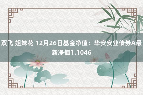 双飞 姐妹花 12月26日基金净值：华安安业债券A最新净值1.1046
