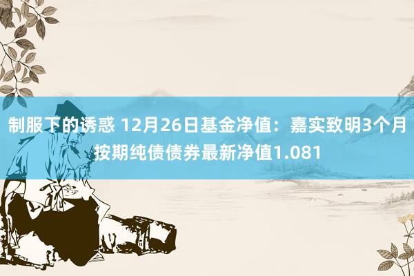 制服下的诱惑 12月26日基金净值：嘉实致明3个月按期纯债债券最新净值1.081