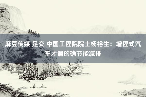 麻豆传媒 足交 中国工程院院士杨裕生：增程式汽车才调的确节能减排