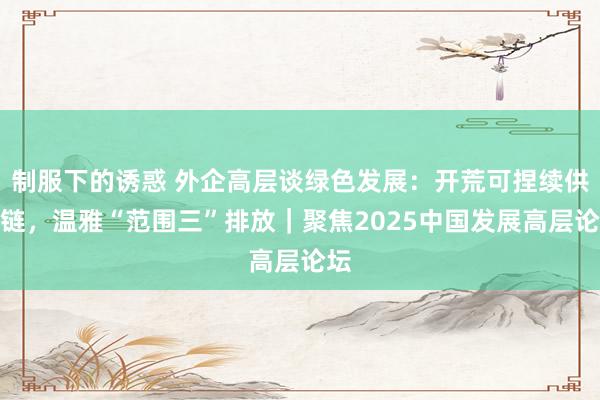 制服下的诱惑 外企高层谈绿色发展：开荒可捏续供应链，温雅“范围三”排放｜聚焦2025中国发展高层论坛