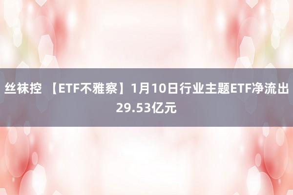 丝袜控 【ETF不雅察】1月10日行业主题ETF净流出29.53亿元