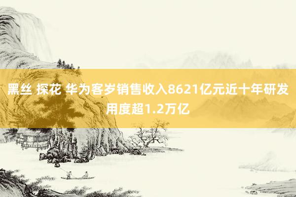 黑丝 探花 华为客岁销售收入8621亿元近十年研发用度超1.2万亿