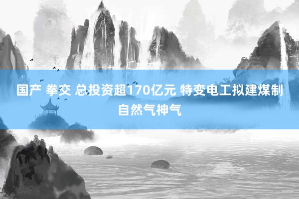 国产 拳交 总投资超170亿元 特变电工拟建煤制自然气神气