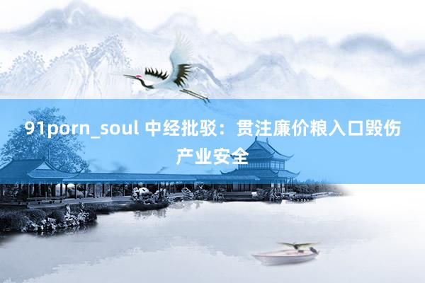 91porn_soul 中经批驳：贯注廉价粮入口毁伤产业安全