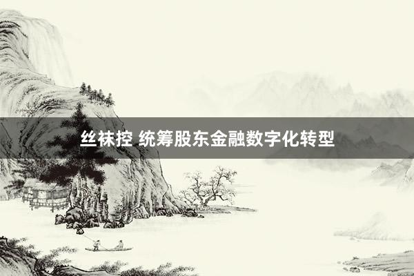 丝袜控 统筹股东金融数字化转型