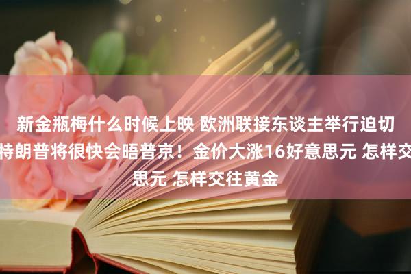 新金瓶梅什么时候上映 欧洲联接东谈主举行迫切会议、特朗普将很快会晤普京！金价大涨16好意思元 怎样交往黄金