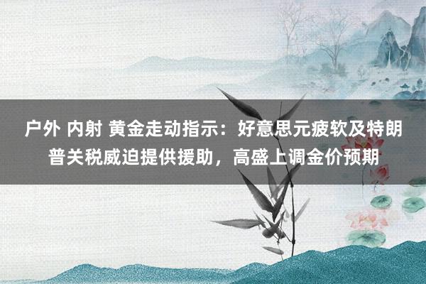 户外 内射 黄金走动指示：好意思元疲软及特朗普关税威迫提供援助，高盛上调金价预期