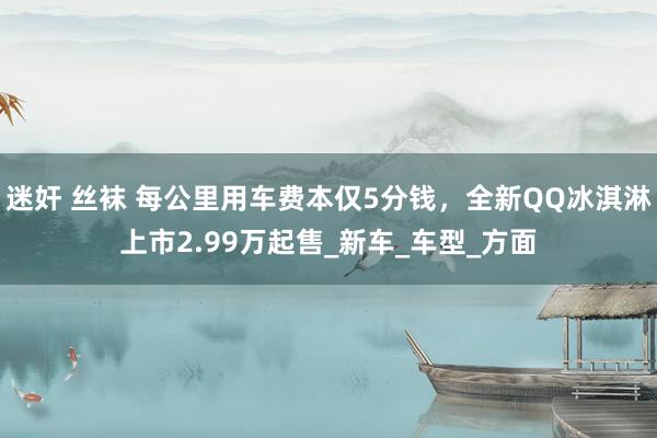 迷奸 丝袜 每公里用车费本仅5分钱，全新QQ冰淇淋上市2.99万起售_新车_车型_方面