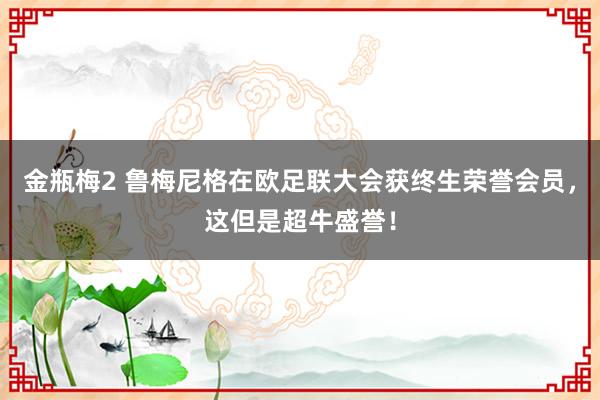 金瓶梅2 鲁梅尼格在欧足联大会获终生荣誉会员，这但是超牛盛誉！