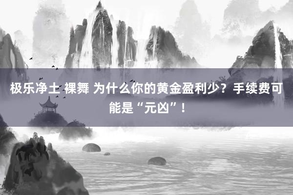 极乐净土 裸舞 为什么你的黄金盈利少？手续费可能是“元凶”！
