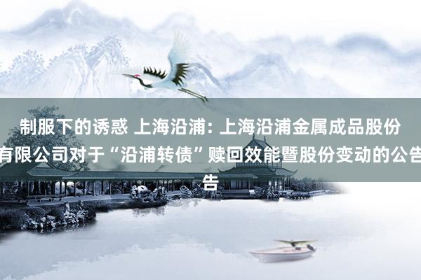 制服下的诱惑 上海沿浦: 上海沿浦金属成品股份有限公司对于“沿浦转债”赎回效能暨股份变动的公告