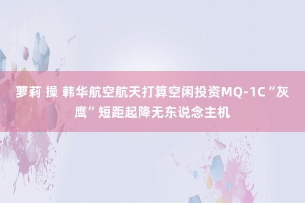 萝莉 操 韩华航空航天打算空闲投资MQ-1C“灰鹰”短距起降无东说念主机