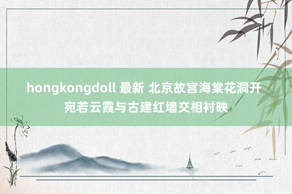 hongkongdoll 最新 北京故宫海棠花洞开 宛若云霞与古建红墙交相衬映