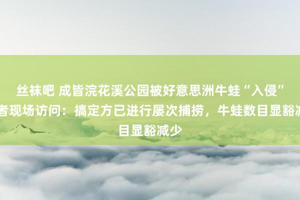 丝袜吧 成皆浣花溪公园被好意思洲牛蛙“入侵” 记者现场访问：搞定方已进行屡次捕捞，牛蛙数目显豁减少