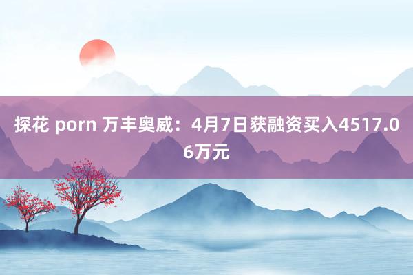 探花 porn 万丰奥威：4月7日获融资买入4517.06万元