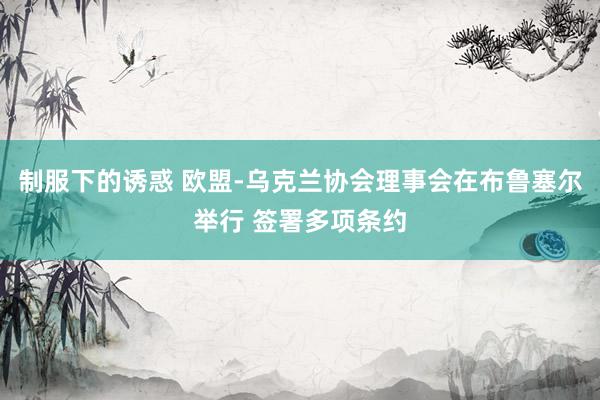 制服下的诱惑 欧盟-乌克兰协会理事会在布鲁塞尔举行 签署多项条约