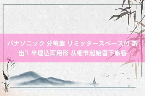 パナソニック 分電盤 リミッタースペース付 露出・半埋込両用形 从细节起始留下旅客