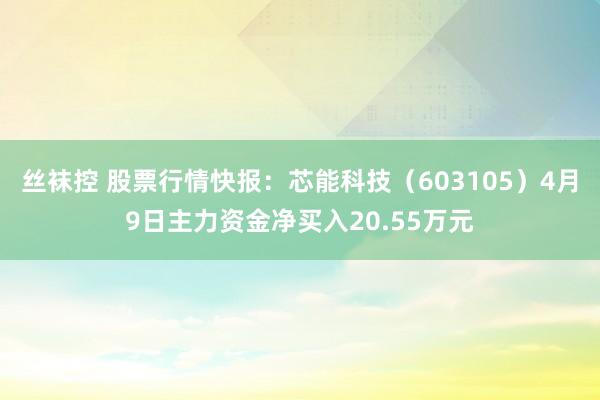 丝袜控 股票行情快报：芯能科技（603105）4月9日主力资金净买入20.55万元