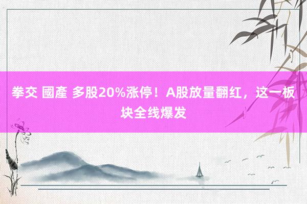 拳交 國產 多股20%涨停！A股放量翻红，这一板块全线爆发
