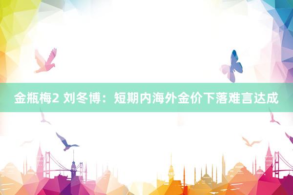 金瓶梅2 刘冬博：短期内海外金价下落难言达成