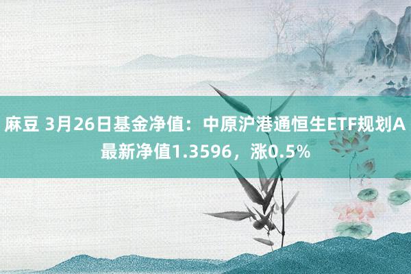 麻豆 3月26日基金净值：中原沪港通恒生ETF规划A最新净值1.3596，涨0.5%