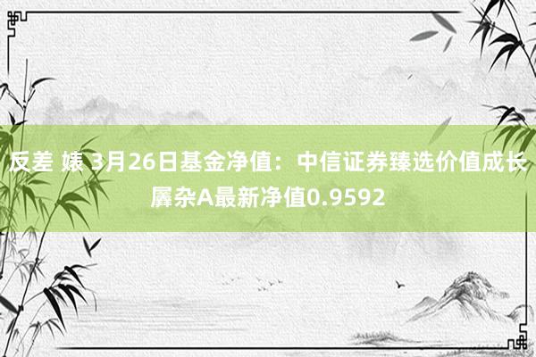 反差 婊 3月26日基金净值：中信证券臻选价值成长羼杂A最新净值0.9592
