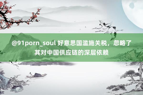 @91porn_soul 好意思国滥施关税，忽略了其对中国供应链的深层依赖