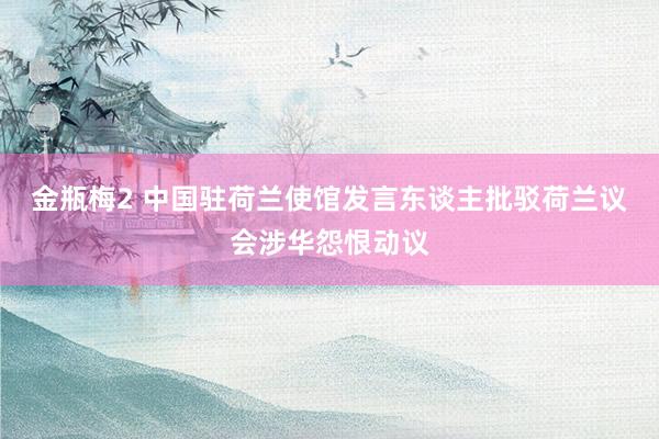 金瓶梅2 中国驻荷兰使馆发言东谈主批驳荷兰议会涉华怨恨动议