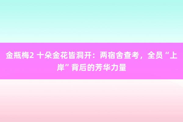 金瓶梅2 十朵金花皆洞开：两宿舍查考，全员“上岸”背后的芳华力量