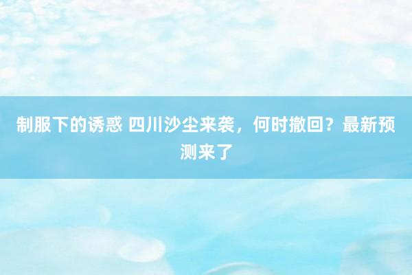 制服下的诱惑 四川沙尘来袭，何时撤回？最新预测来了