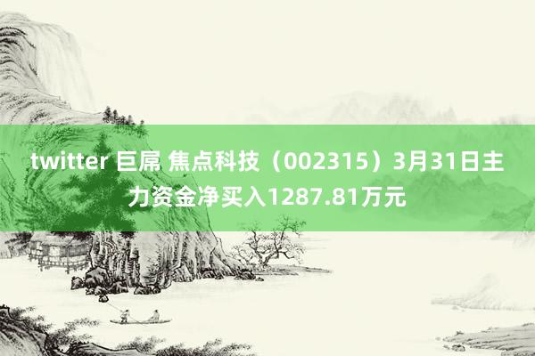 twitter 巨屌 焦点科技（002315）3月31日主力资金净买入1287.81万元