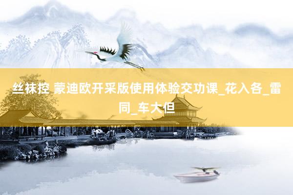 丝袜控 蒙迪欧开采版使用体验交功课_花入各_雷同_车大但