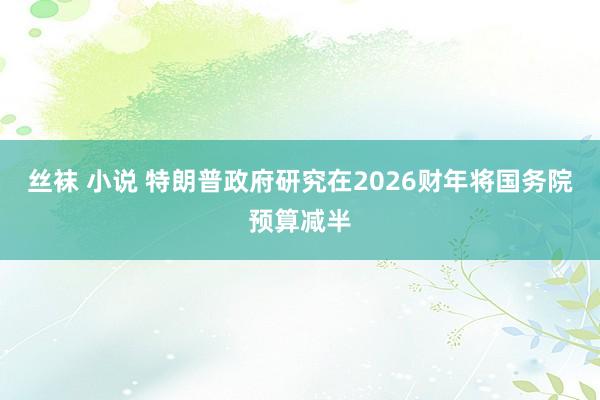 丝袜 小说 特朗普政府研究在2026财年将国务院预算减半