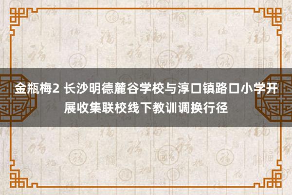 金瓶梅2 长沙明德麓谷学校与淳口镇路口小学开展收集联校线下教训调换行径