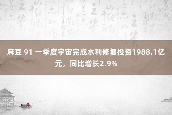 麻豆 91 一季度宇宙完成水利修复投资1988.1亿元，同比增长2.9%
